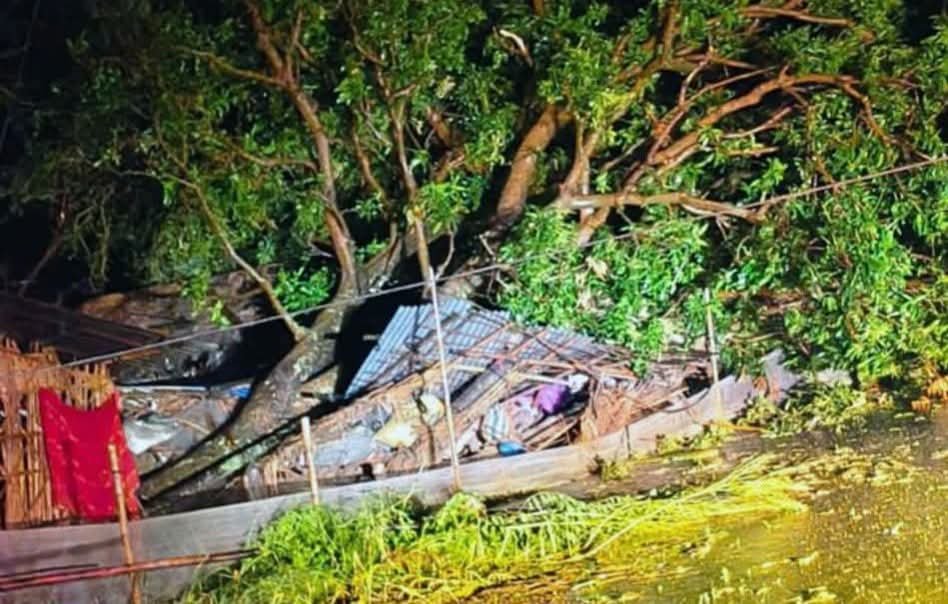 हल्दीबारीमा रुख ढल्दा १७ वर्षीय किशोरीको मृत्यु