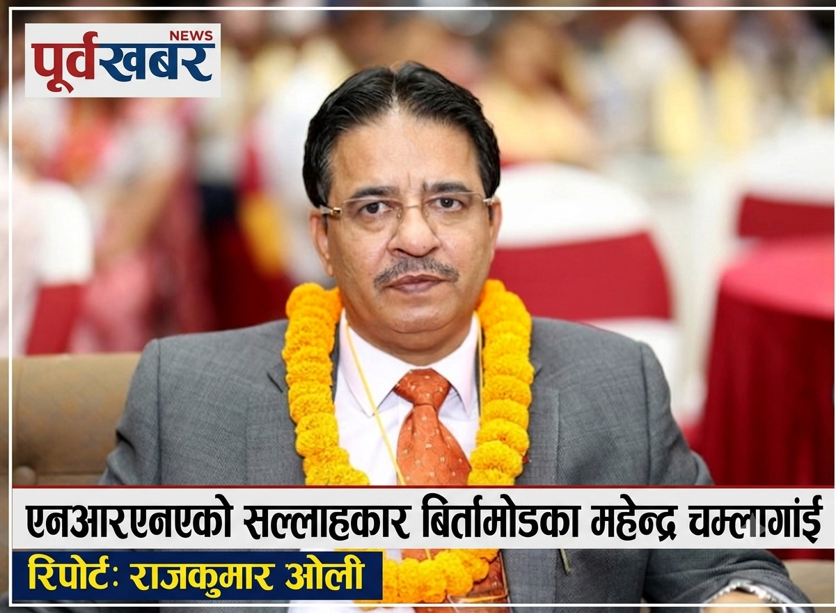 एनआरएनएको सल्लाहकारमा व्यवसायी महेन्द्र चौलागाईं, प्रवास अनुभवलाई संस्थागत विकासमा उपयोग गर्ने अपेक्षा